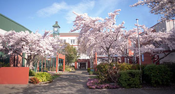 Campus Image
